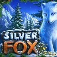 Silver Fox